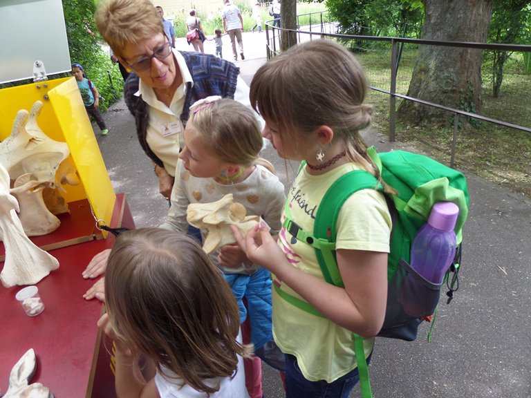 Narresume-Ausflug Basler Zoo